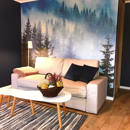Apartament „Blue Forest” イェレニャ・グーラ エクステリア 写真